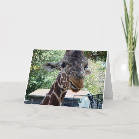 Carte de vœux girafe intérieur vierge (Devant)