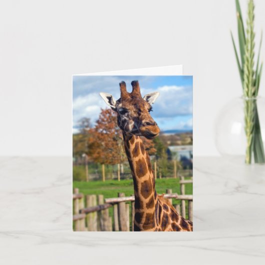 Carte de voeux Giraffe (Devant)