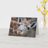 Carte de voeux Giraffe (Fleur jaune)