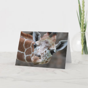 Carte de voeux Giraffe