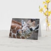 Carte de voeux Giraffe Tongue (Fleur jaune)
