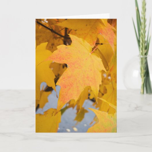 Carte de voeux Golden Light (Devant)
