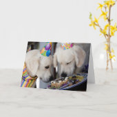 Carte de voeux Golden Retriever (Fleur jaune)