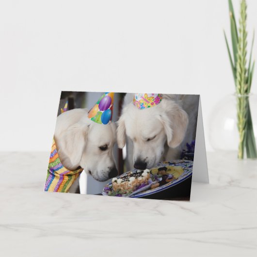Carte de voeux Golden Retriever (Devant)