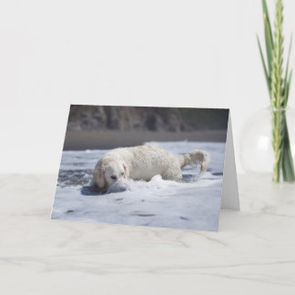 Carte de voeux Golden Retriever