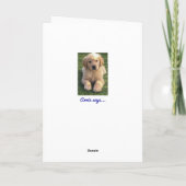Carte de vœux Golden Retriever (Dos)