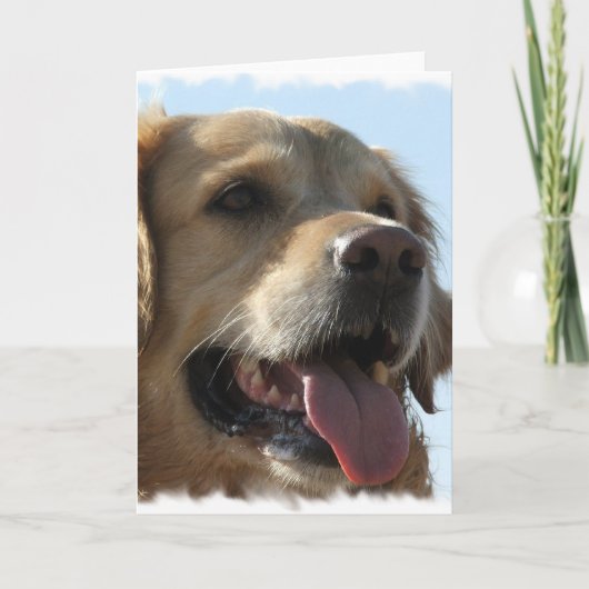Carte de voeux Golden Retriever (Devant)