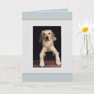 Carte de voeux Golden Retriever Blank.
