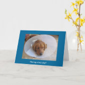 Carte de voeux Golden Retriever Cone (Fleur jaune)