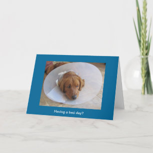 Carte de voeux Golden Retriever Cone