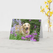 Carte de voeux Golden Retriever en fleurs (Fleur jaune)