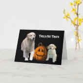 Carte de voeux Golden Retriever Halloween (Fleur jaune)