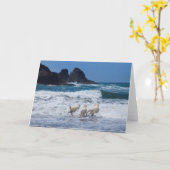 Carte de voeux Golden Retrivers (Fleur jaune)