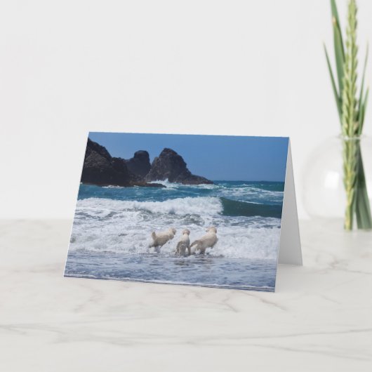 Carte de voeux Golden Retrivers (Devant)