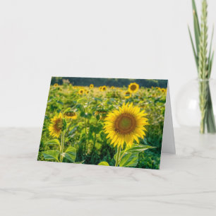 Carte de voeux Golden Sunflower Field