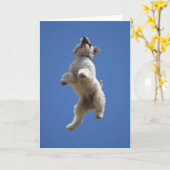 Carte de voeux Goldendoodle Jumping (Fleur jaune)