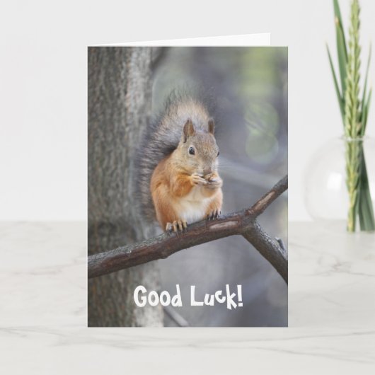 Carte de voeux Good Luck Red Squirrel (Devant)