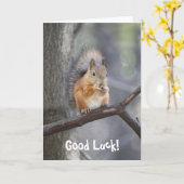 Carte de voeux Good Luck Red Squirrel (Fleur jaune)