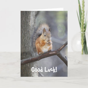 Carte de voeux Good Luck Red Squirrel