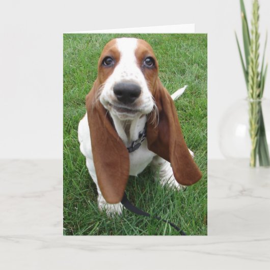 Carte de voeux Goofy Basset Hound (Devant)