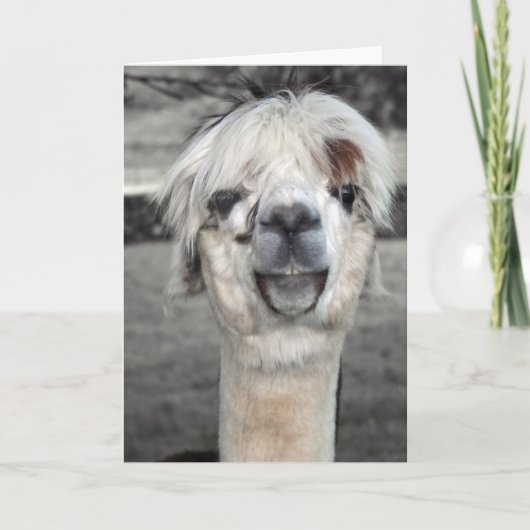Carte de voeux Goofy Llama (Devant)