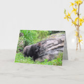Carte de voeux Gorilla (Fleur jaune)