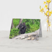 Carte de voeux Gorilla (0533) (Fleur jaune)