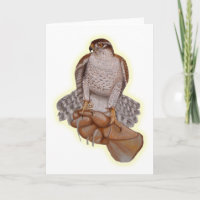 Carte de voeux Goshawk.