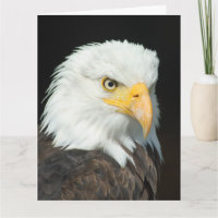 Carte de vœux grand format - Aigle oiseau de la na