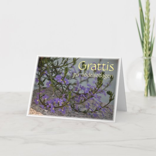 Carte de voeux Grattis på födelsedagen CC0513 (Devant)