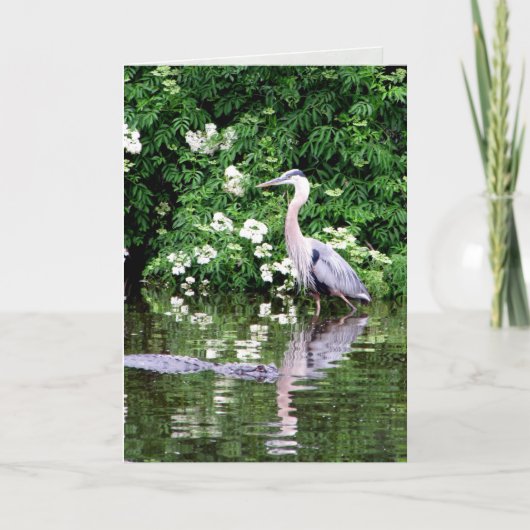 Carte de voeux Great Blue Heron et Alligator (Devant)