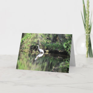 Carte de voeux Great White Egret