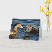 Carte de voeux - grèbes Pie-affichés avec des (Fleur jaune)