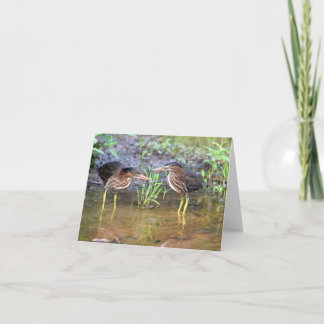 Carte de voeux Green Herons Friendship