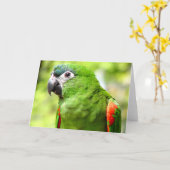 Carte de voeux Green Parrot 2 (Fleur jaune)