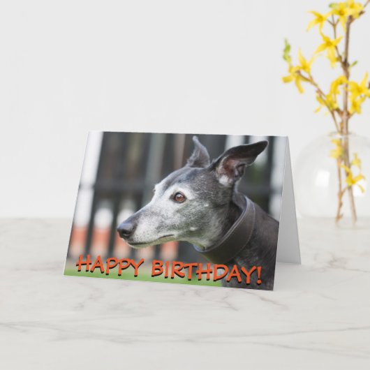 Carte de voeux Greyhound (Fleur jaune)