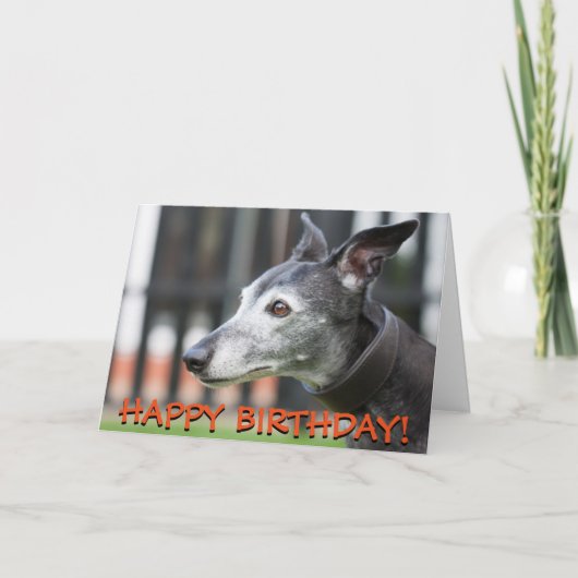 Carte de voeux Greyhound (Devant)
