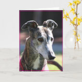 Carte de voeux Greyhound (Fleur jaune)