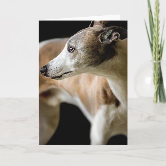 Carte de voeux Greyhound Dog (Devant)