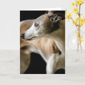 Carte de voeux Greyhound Dog (Fleur jaune)