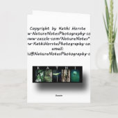 Carte de voeux Grinning Groundhog (Dos)