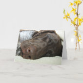 Carte de voeux grisâtre brillante (Fleur jaune)