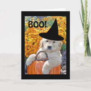 Carte de voeux Halloween Funny Puppy Witch