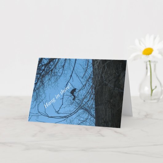 Carte de vœux Hang in There (Petite plante)