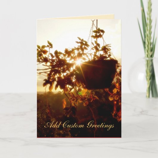 Carte de voeux Hanging Garden Sun Twinkle (Devant)