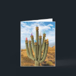 Carte de voeux Hanoukka - Prickly Menorah<br><div class="desc">A propos de cet article * INSIDE SALUT : "Chaleureux voeux pour une Hanoukka heureuse !" COUVERTURE - [image de cactus en forme de menorah avec bougies] * TAILLE DE LA CARTE - Recevoir 1, carte pour notes de taille régulière avec enveloppe de 5x7 pouces. Nous offrons des cartes amusantes...</div>