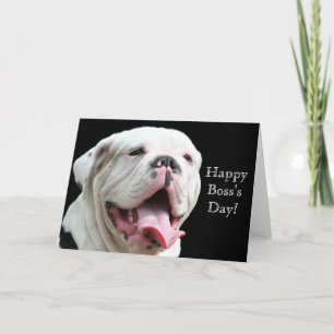 Carte de voeux Happy Boss's Day White Bulldog