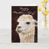 Carte de voeux Happy Mother's Day llama (Fleur jaune)