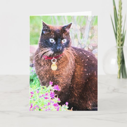 Carte de voeux Havana (Devant)