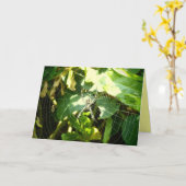 Carte de voeux Hawaii spider web (Fleur jaune)